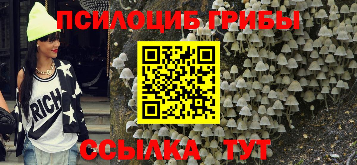 Галлюциногенные грибы Cubensis Коркино