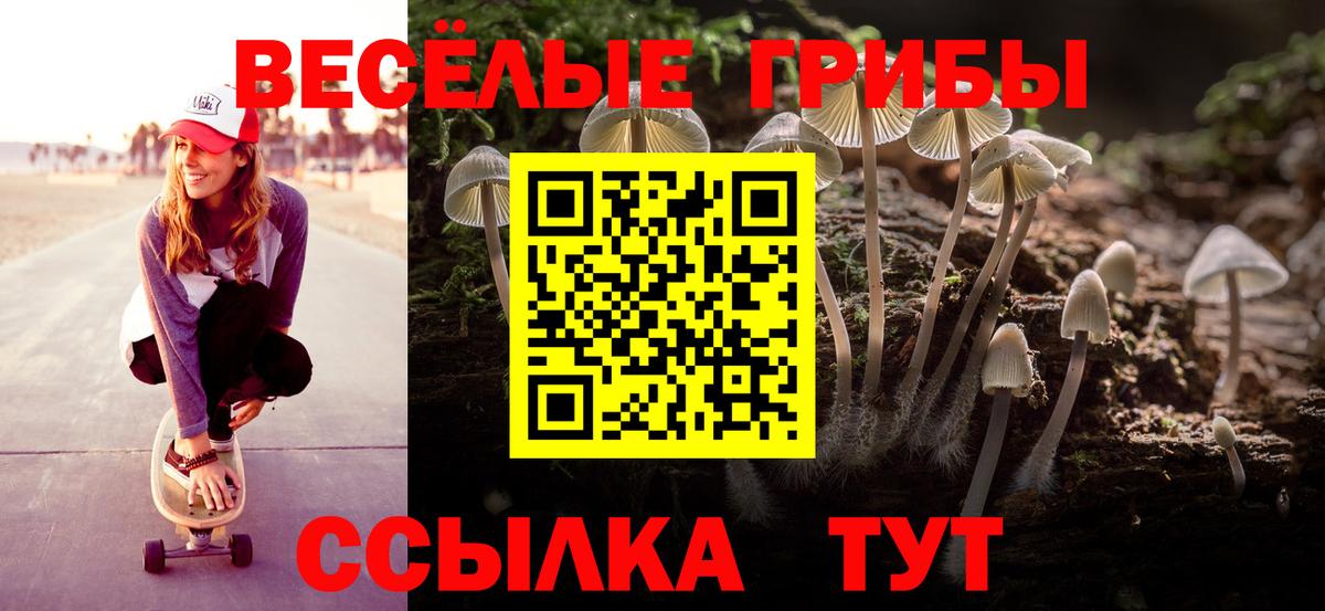 Коркино  как найти наркотики  Вход с VPN  Галлюциногенные грибы прущие грибы 